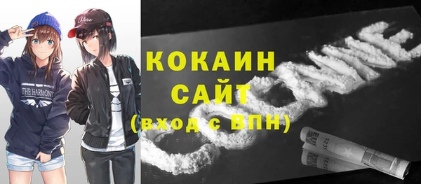 твердый Аркадак