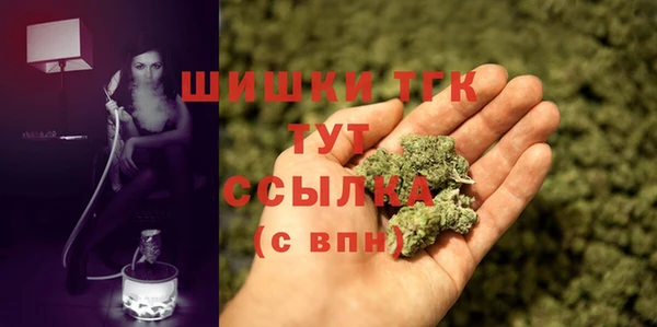спайс Арсеньев