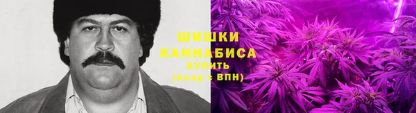 спайс Арсеньев