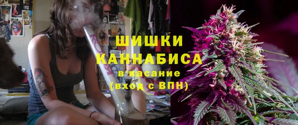 твердый Аркадак