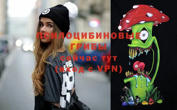 твердый Аркадак