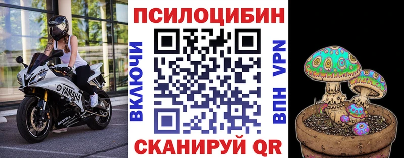 Галлюциногенные грибы Psilocybine cubensis  Советский 